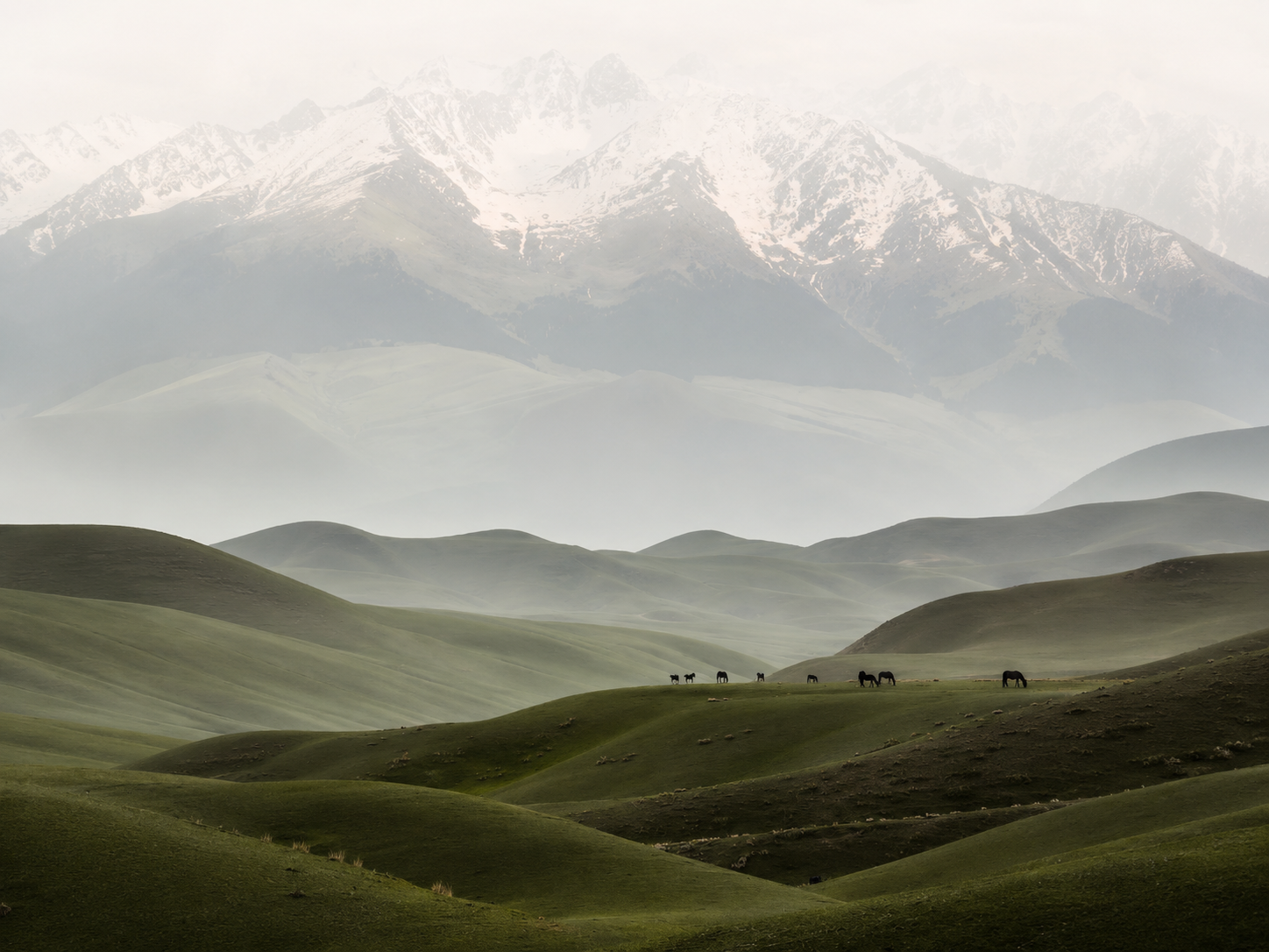 Misty mountains at first light